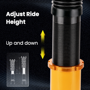 1. Adjustable Height