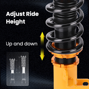 1. Adjustable Height