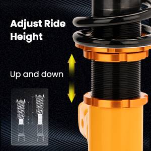 1. Adjustable Height