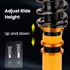 1. Adjustable Height