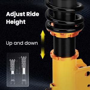 1. Adjustable Height