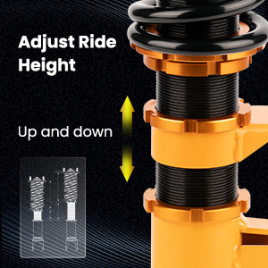 1. Adjustable Height