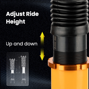 1. Adjustable Height