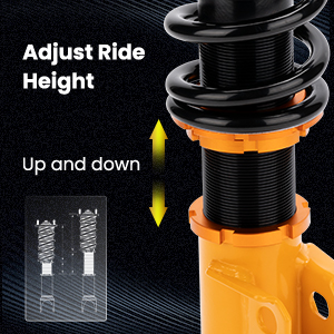 1. Adjustable Height