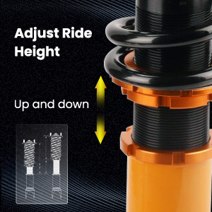 1. Adjustable Height