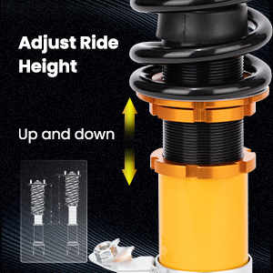 1. Adjustable Height