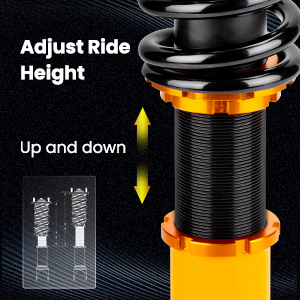 1. Adjustable Height