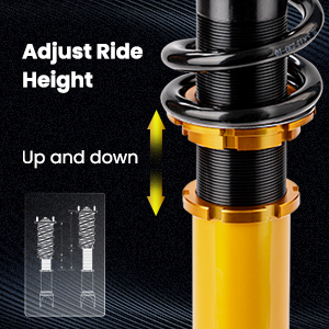 1. Adjustable Height