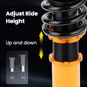 1. Adjustable Height