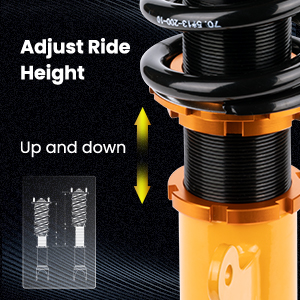 1. Adjustable Height