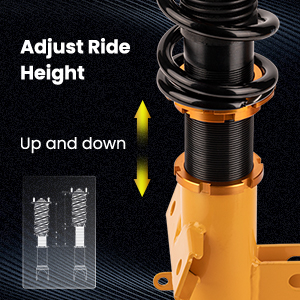 1. Adjustable Height