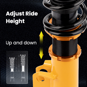 1. Adjustable Height