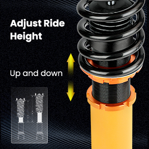 1. Adjustable Height