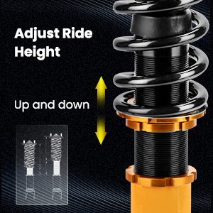 1. Adjustable Height