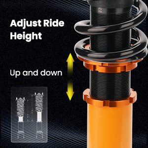 1. Adjustable Height