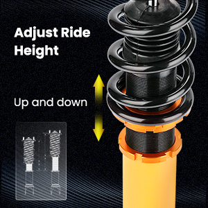 1. Adjustable Height