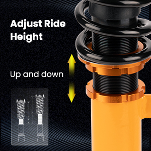 1. Adjustable Height