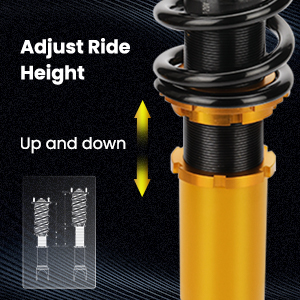 1. Adjustable Height