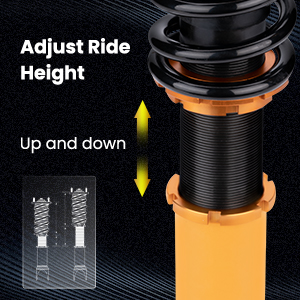 1. Adjustable Height