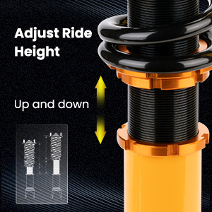 1. Adjustable Height