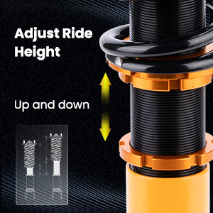 1. Adjustable Height