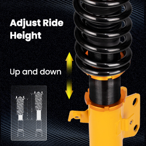 1. Adjustable Height