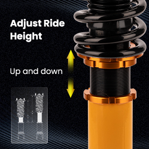 1. Adjustable Height