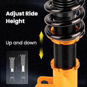 1. Adjustable Height