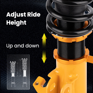 1. Adjustable Height