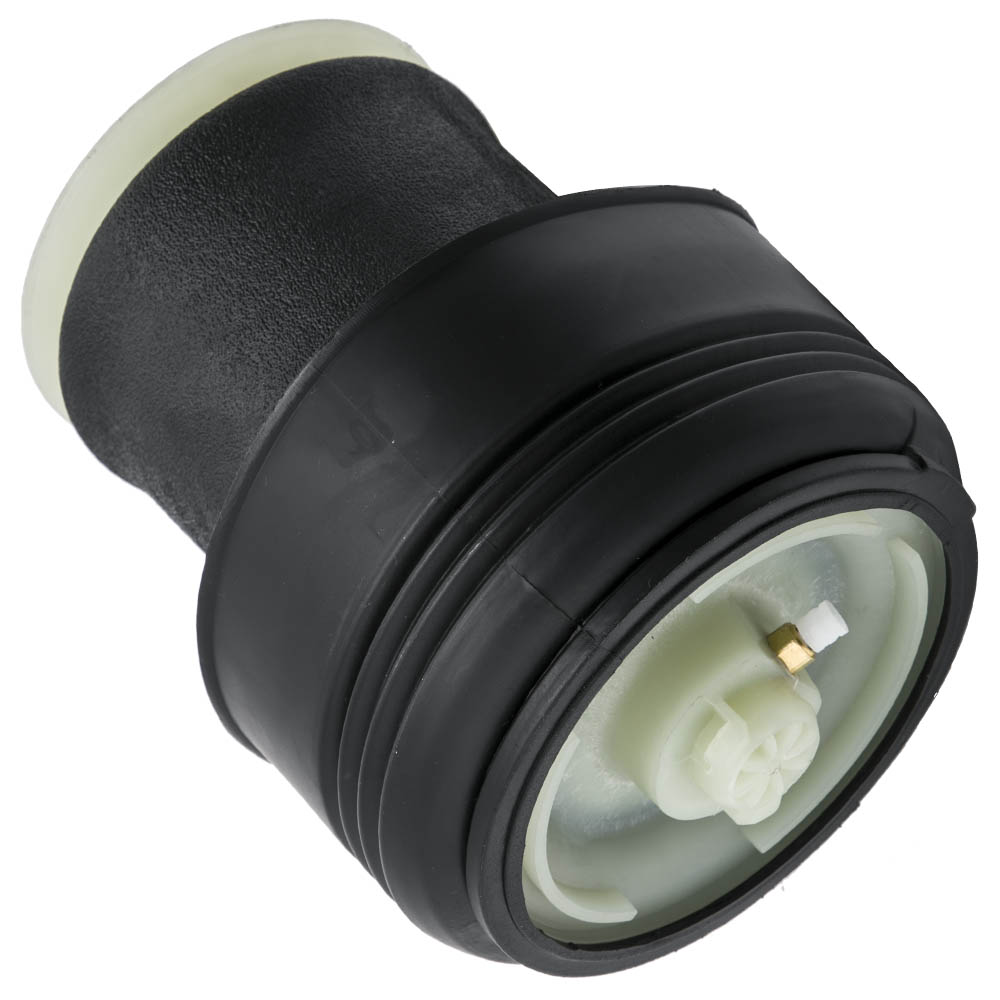 2X Molla Sospensione Pneumatica Posteriore for BMW X5 E70 X6 E71 E72 37126790078