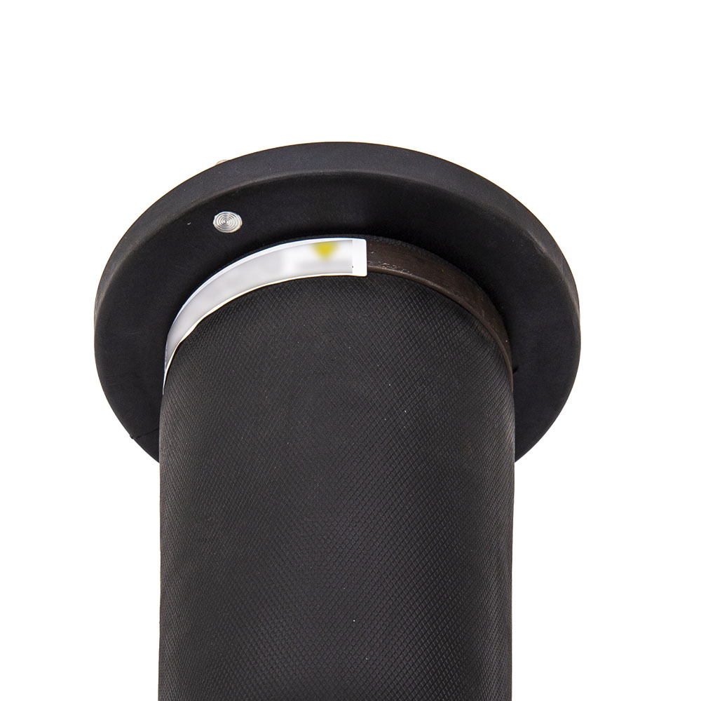 Arrière Coussin suspension pneumatique for Land Rover Discovery II 4.0 RK10120