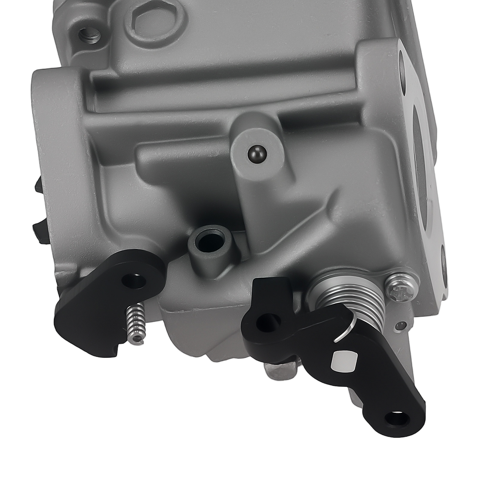 Carburetor for Honda BF100E BF100F BF100Z Outboard 16100-881-033