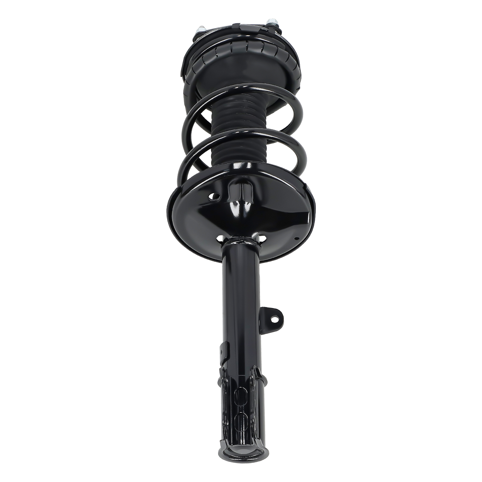 AWD Front Struts w/ Coil Spring Rear Shock Absorbers for 2000 - 2005 Toyota RAV4
