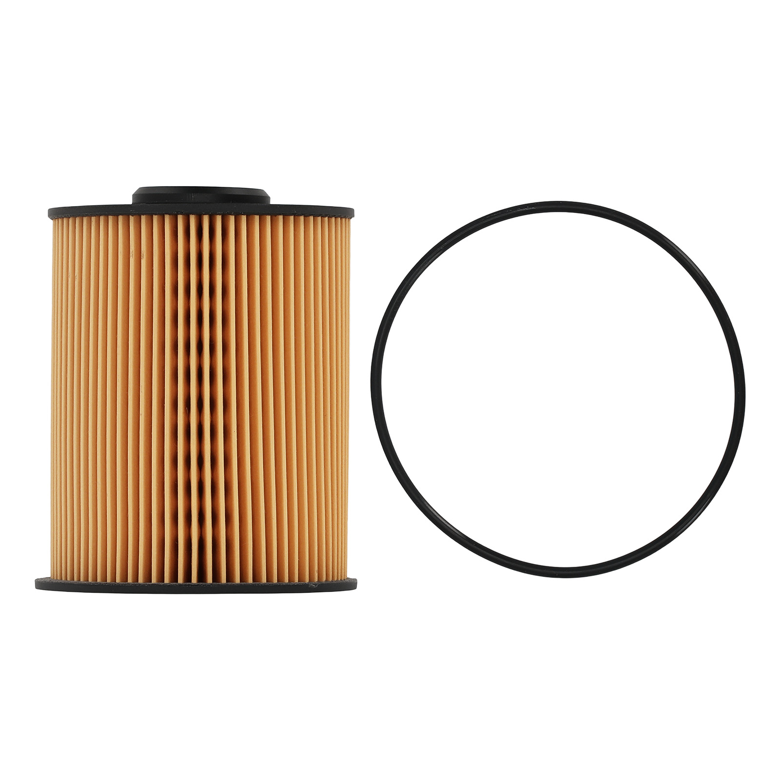 Fuel Filter for Blue Bird Ford Thomas 1997-2016 4935205 P550800 4935205