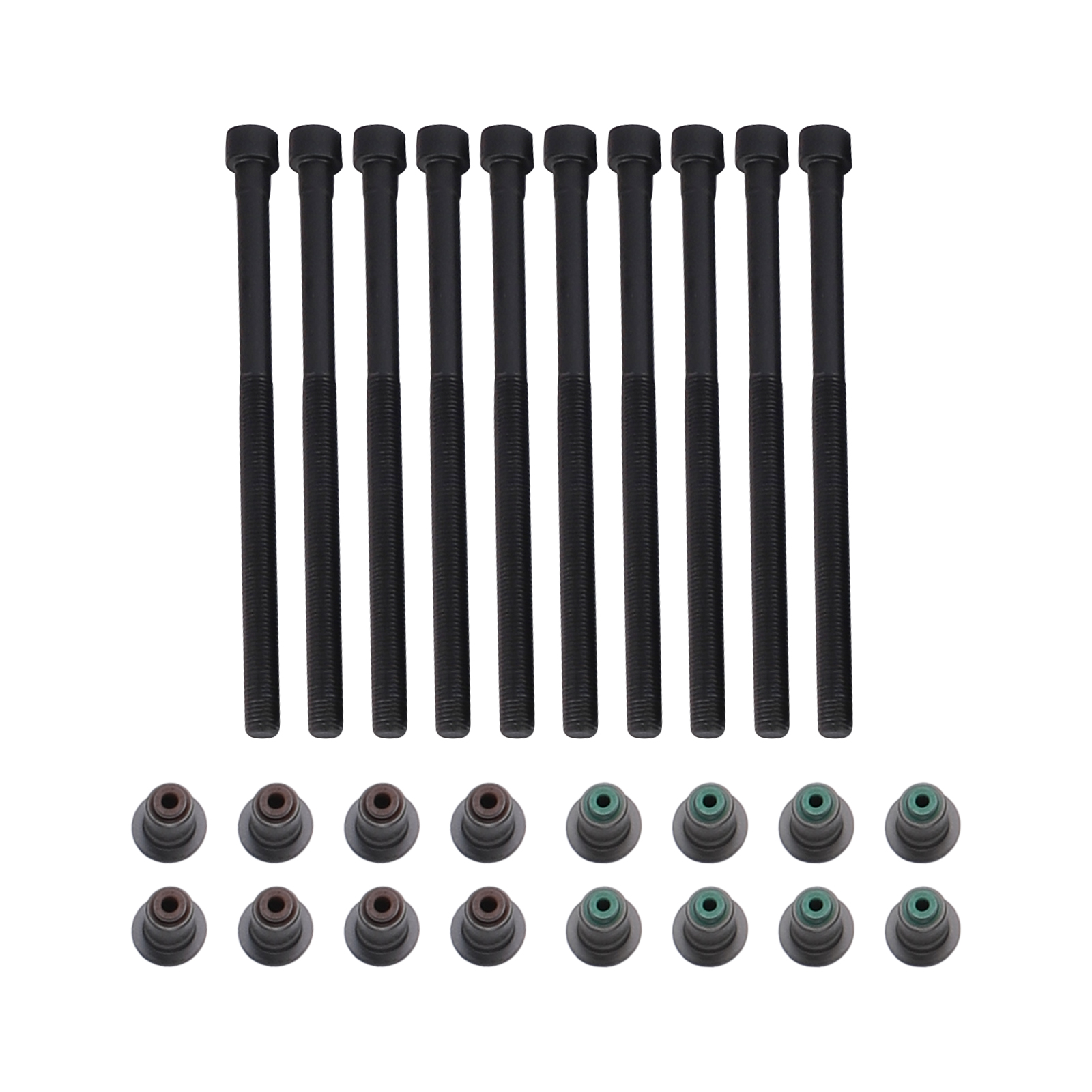 Pistons Rings Bearings & Timing Chain Kit for BMW 2.0L B46 B48 Engine Models