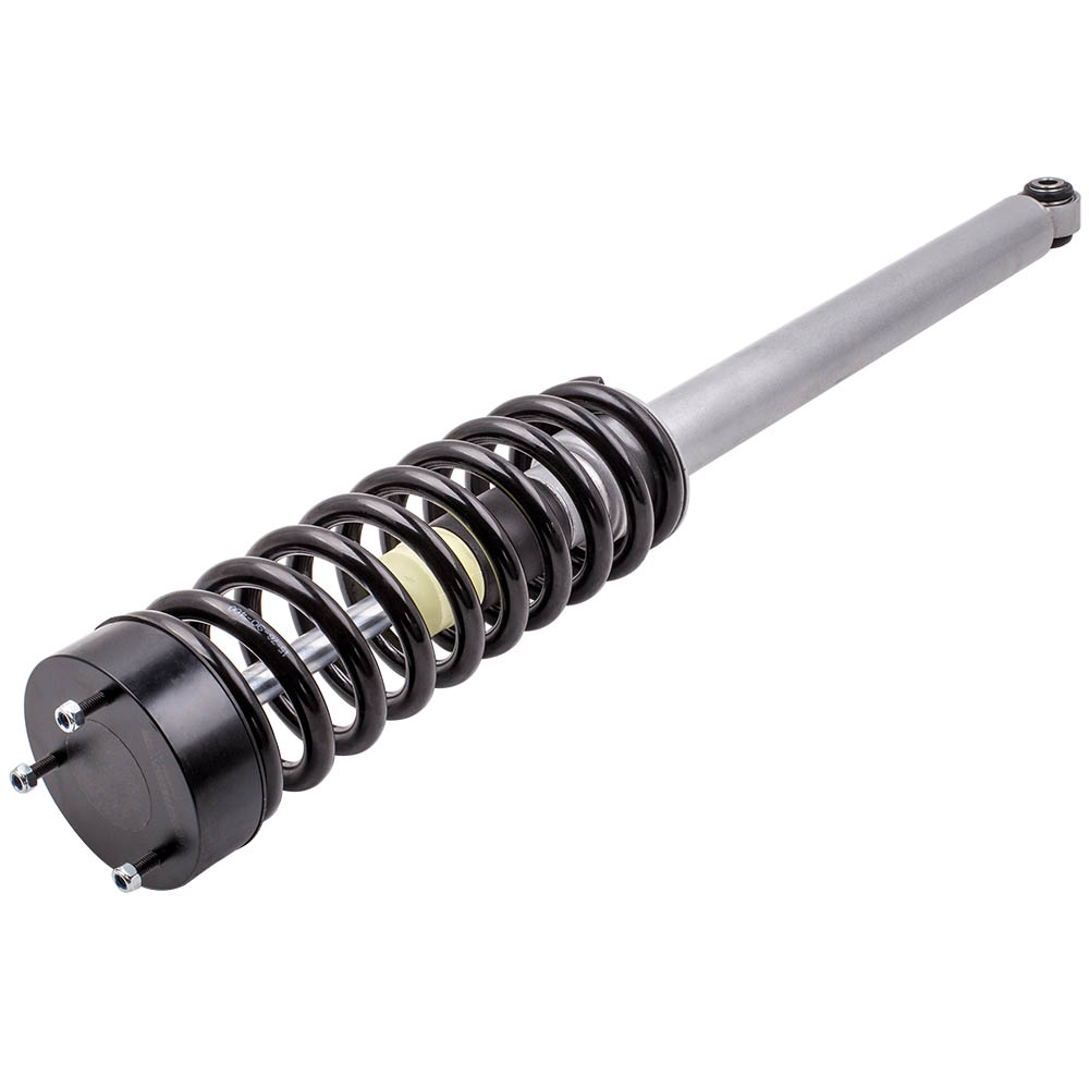 Gewindefahrwerk for Mercedes-Benz S-Klasse S500 00-06 220320501380,220320501388