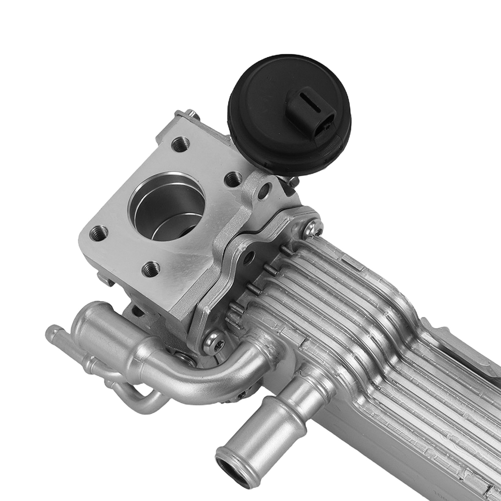 Válvula EGR for Audi A3 VW Golf Seat Leon 1.9 TDI 038131512H 2003-2010
