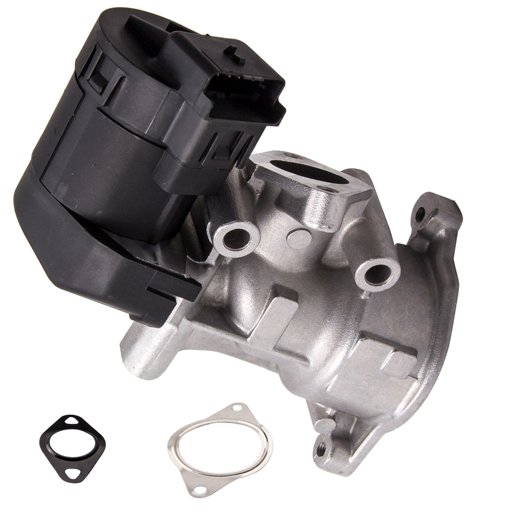 Egr ford focus