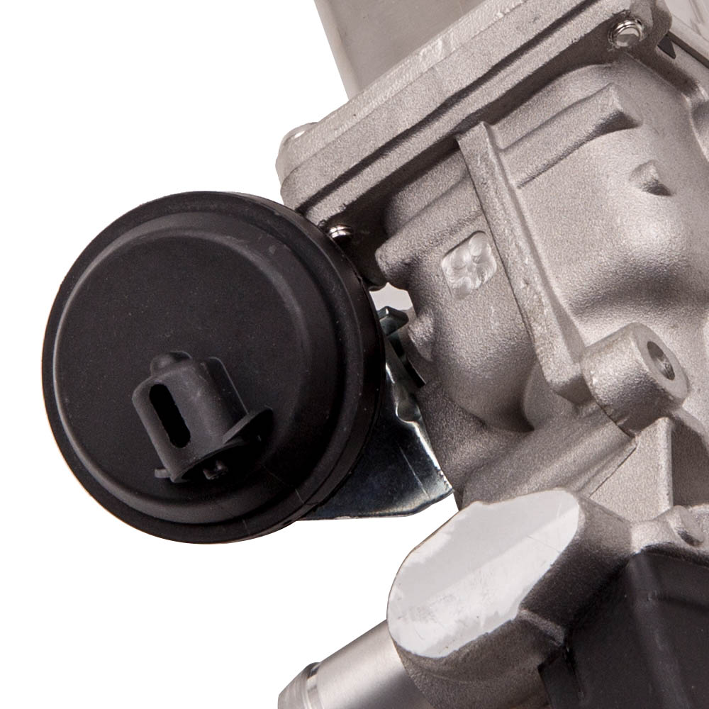 Abgasrückführungsventil Kühler for Audi VW Seat Skoda 1.6 2.0 TDI 03L131512CF