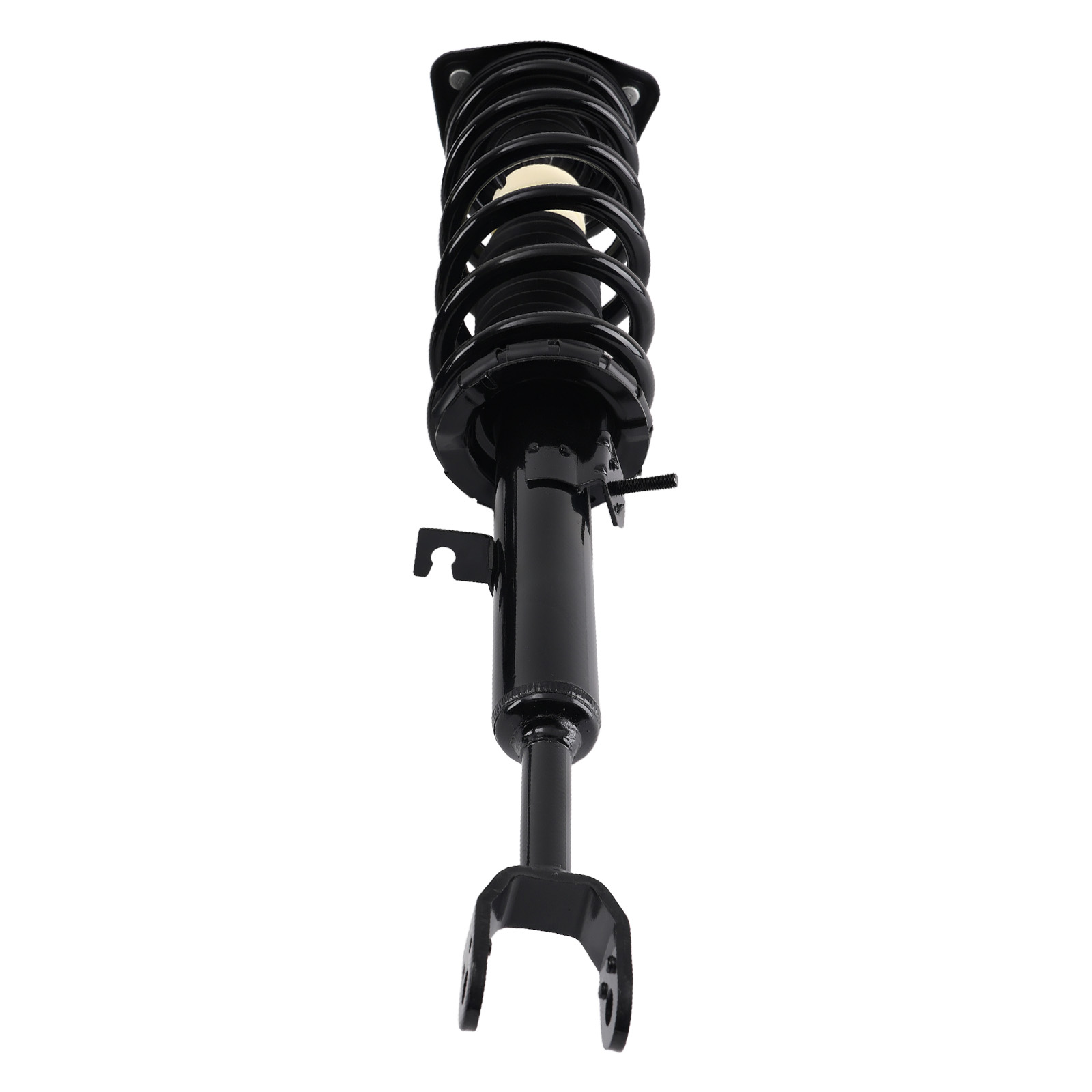 RWD Front Struts w/Coil Spring Rear Shock Absorbers for 2003 - 2006 Infiniti G35