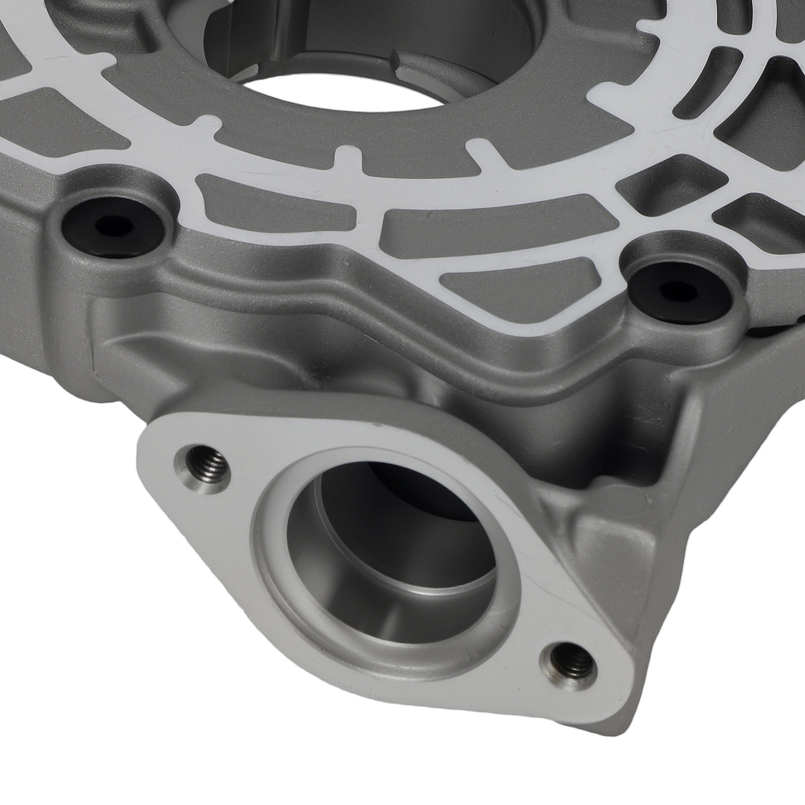 Standard Oil Pump for Ford Mustang 2011-2017 F-150 2015-2017 M396 Rotary