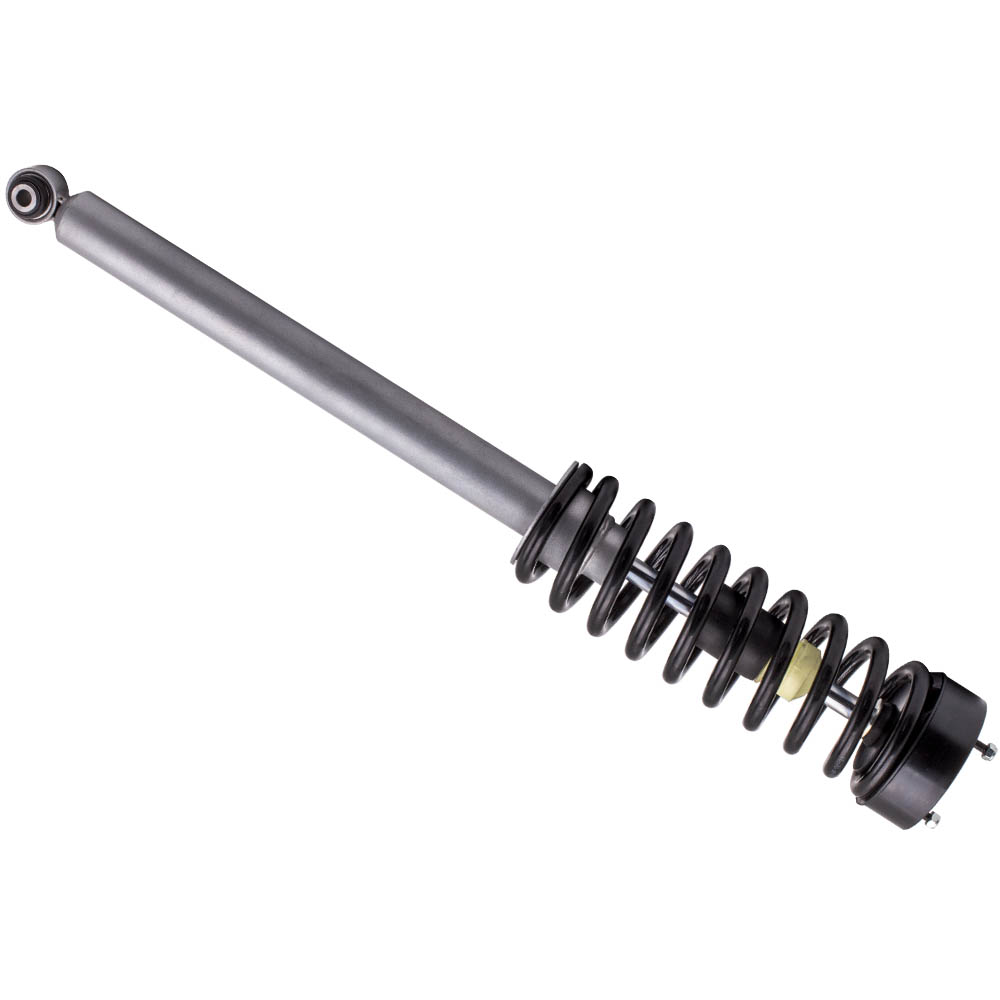 Gewindefahrwerk for Mercedes-Benz S-Klasse S500 00-06 220320501380,220320501388