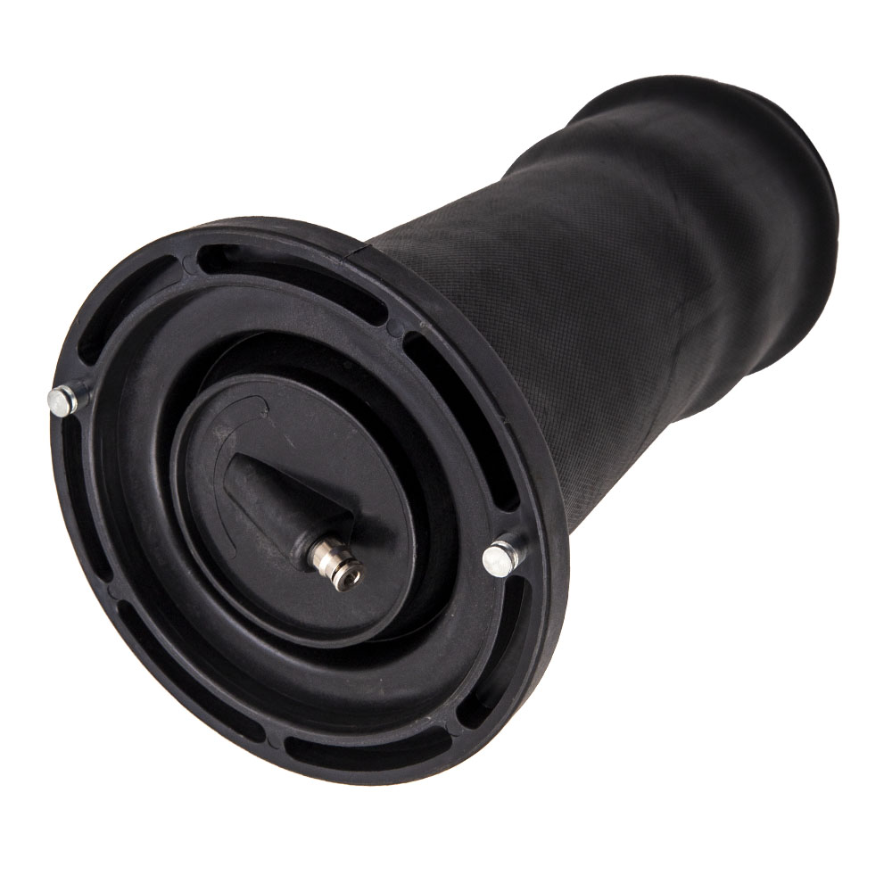 Arrière Coussin suspension pneumatique for Land Rover Discovery II 4.0 RK10120