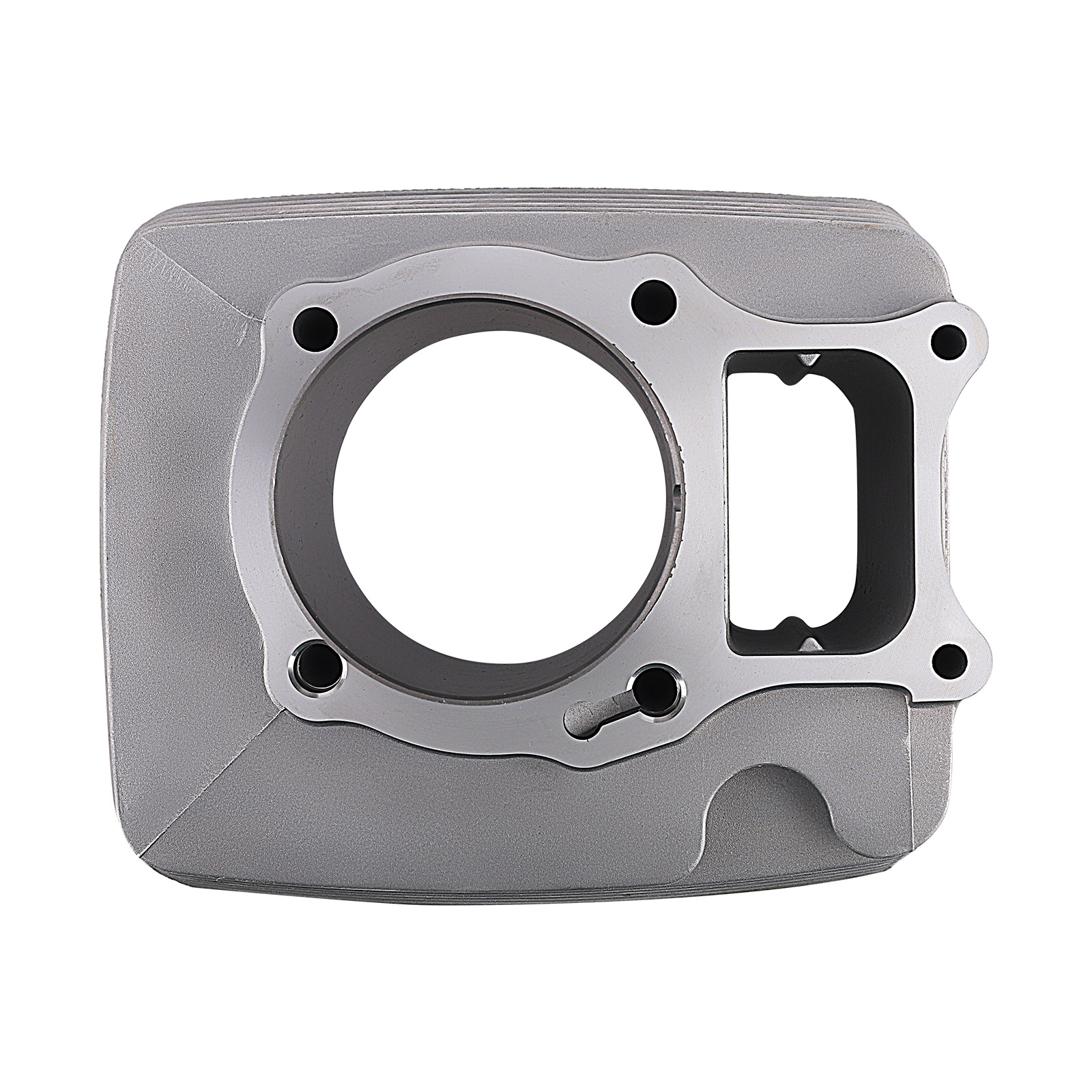 74mm Cylinder Piston Rings Top End Kit for Honda TRX250EX Sportrax 250 2001-2008