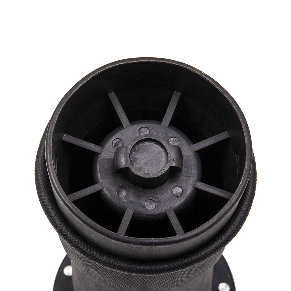 Arrière Coussin suspension pneumatique for Land Rover Discovery II 4.0 RK10120
