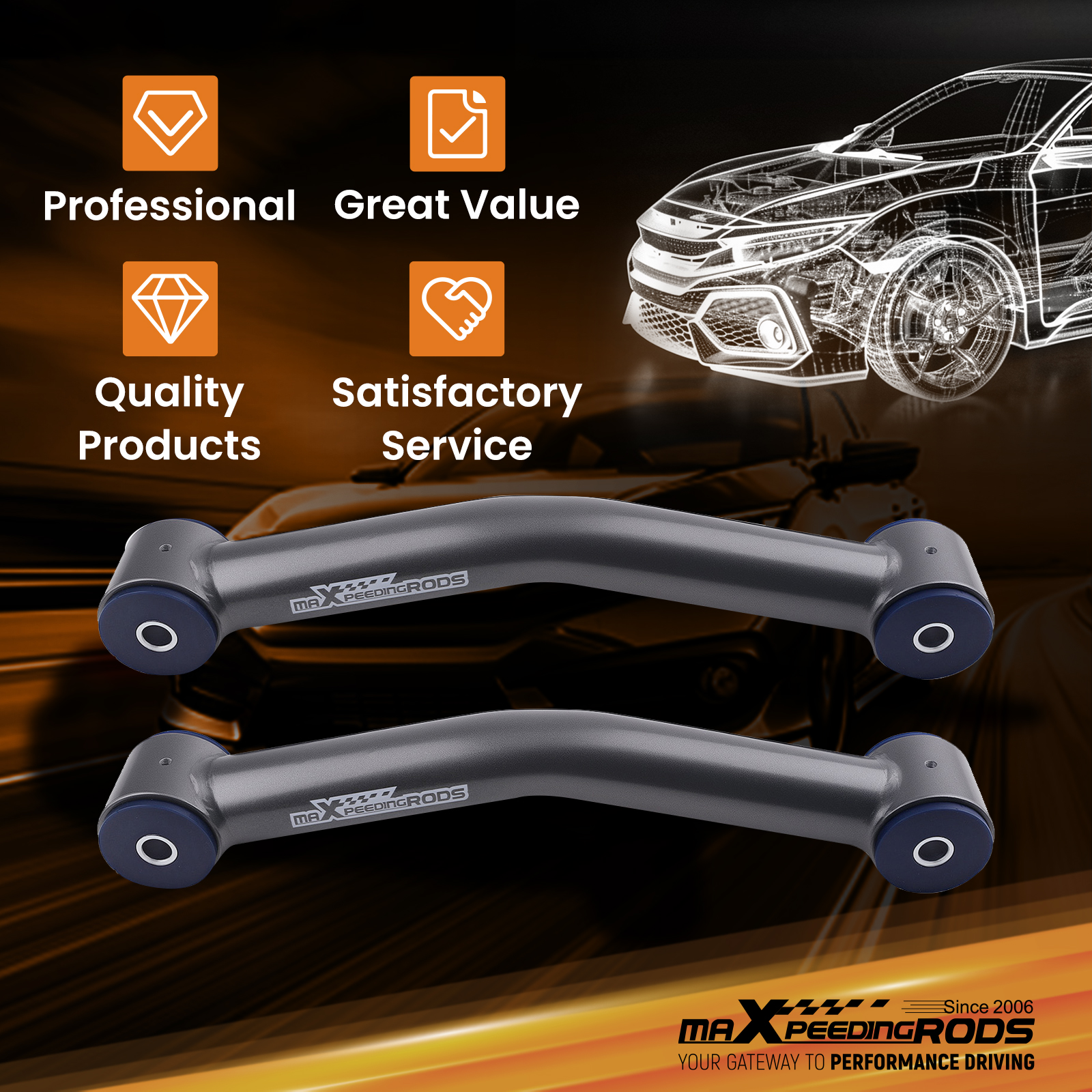 PROFESSIONAL SERVICES