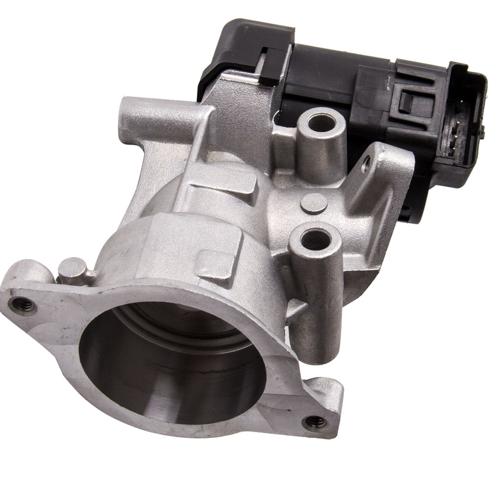 Egr ford focus